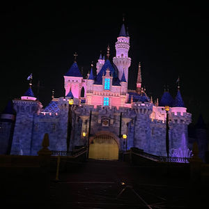 Meet your Posher, Scarlett